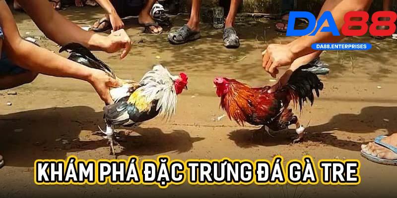 Đá gà tre da88